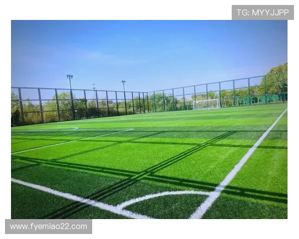 足球赛事的场地标准与基础设施建设优化