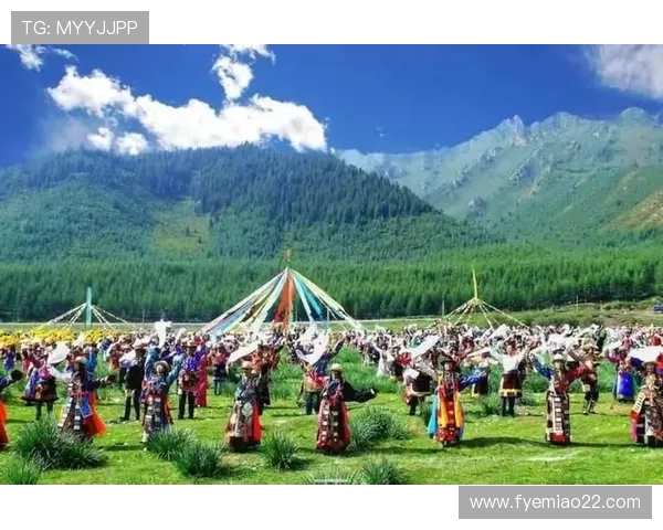 高原健身新风尚:云南有氧训练器材选购全攻略 高原健身新风尚:云南有氧训练器材选购全攻略