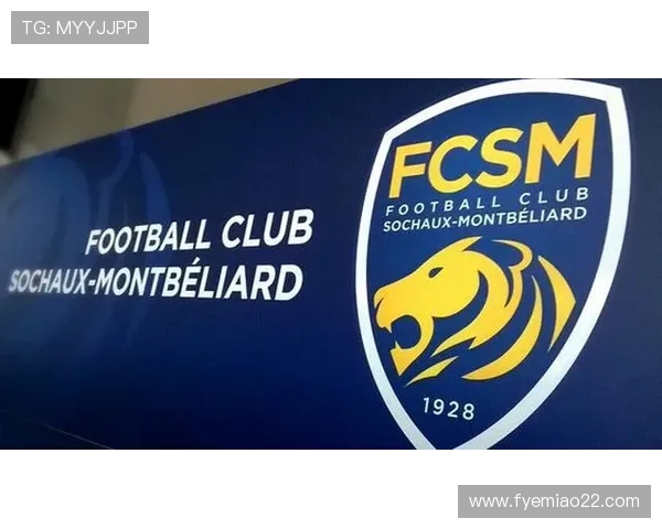 法甲外援赛季总结报告与球场表现数据汇总