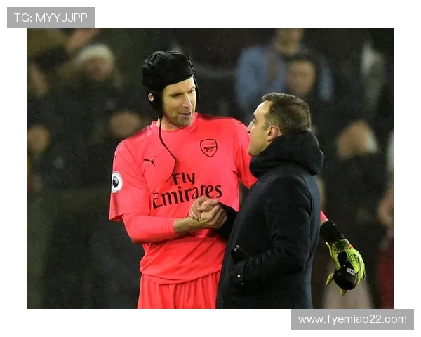 英超斯旺西“天鹅海”韩国球员是谁？他在英伦的成长之路